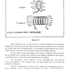 THEORIE 06 PAGE  (29)