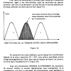 CIRCUITS 02 PAGE  (19)