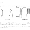 Théorie 18 - Groupe 20 (41) - Caractéristiques d'une valve à vide poussé page-0004