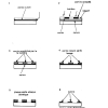 CIRCUITS 04 PAGE  (21)