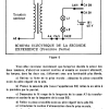 PRATIQUE 09 PAGE (17)