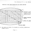 THEORIE 48 - Télévision-15