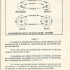 THEORIE 01 PAGE  (33)
