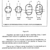 THEORIE 16 PAGE  (35)