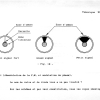 THEORIE 23 - LES TUBES ELECTRONIQUES page-0033