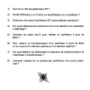 THEORIE 21 PAGE  (41)