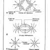 PHYSIQUE 04 PAGE  (13)
