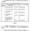 PRATIQUE 16 PAGE (19)