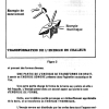 PHYSIQUE 04 PAGE  (09)